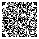 QR код "Профессионал"