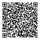 QR код "Глобус"