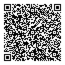 QR код "Гепард"