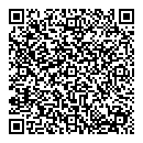 QR код "Барс"
