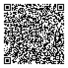 QR код "Земля"