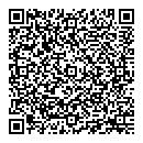 QR код "100 Авто"
