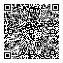 QR код "Венеция"