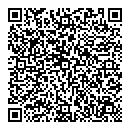 QR код "Ромашка"