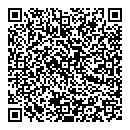 QR код "Хамелеон"