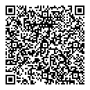 QR код "Дружба"
