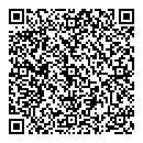 QR код "DИКСИС"
