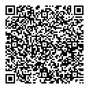 QR код "Аrt-logo"