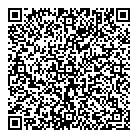 QR код "Домино"