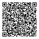 QR код "Спутник"