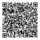 QR код "Призма"