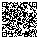 QR код "Блисс"