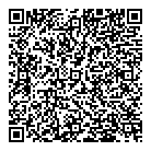 QR код "ДМС-Промо"