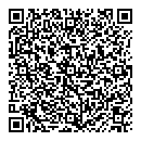 QR код "Алиса"