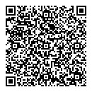 QR код "Блик"