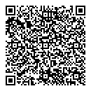 QR код "Динамо"
