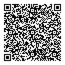QR код "Лавина"