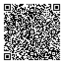 QR код "Лион"