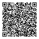 QR код "Фрактал"