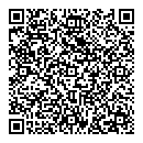QR код "Лион"