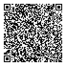 QR код "38 попугаев"