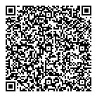 QR код "Гжель"
