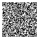 QR код "Профессионал"