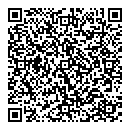 QR код "Блеск"