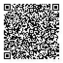 QR код "Глобус"
