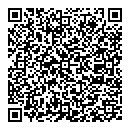QR код "Ticket to Dublin"