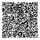 QR код "Глобус"
