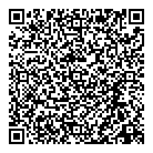 QR код "Паутина"