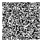 QR код "Netline NSP"