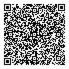 QR код "Альфа ChipSet"