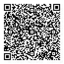 QR код "Алиса"