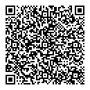 QR код "Выбор"