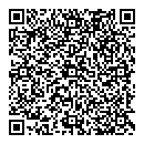 QR код "Созвездие"