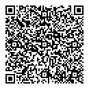 QR код "Алиса"