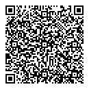 QR код "Стриж"