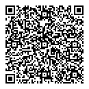 QR код "Венеция"