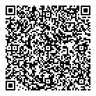 QR код "DVS"