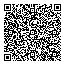 QR код "Сокол"