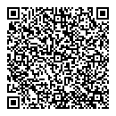 QR код "Сова-2"