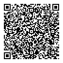 QR код "Сокол"
