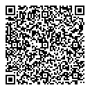 QR код "Ромашка"