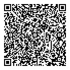 QR код "33 пингвина"