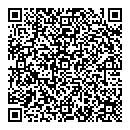 QR код "33 пингвина"