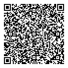 QR код "33 пингвина"