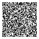 QR код "33 пингвина"