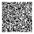 QR код "Art Vinyl"